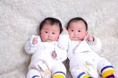 3个养卵又好吃的自制工作餐！