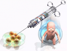 俄罗斯试管婴儿大概需要多少钱？