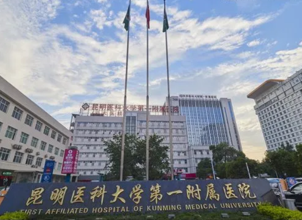 试管婴儿技术