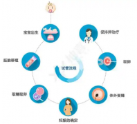 试管婴儿胚胎移植为何需要延迟？这些情况需了解