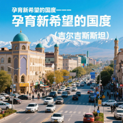 单身 / 未婚赴吉尔吉斯试管助孕可以吗？