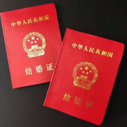 在国内没有结婚证，可以做试管吗？