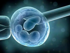 试管促排哪个方案最便宜？看完这篇就懂了