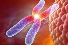 有没有三代试管能筛查的遗传病列表啊？