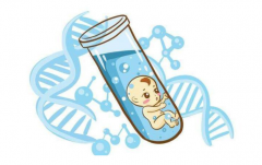 <b>据说俄罗斯试管成功率很高！具体是多少？</b>