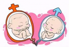 国内做一代试管婴儿可以选男女吗？